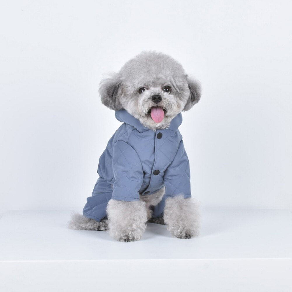 Dog Rain Coat