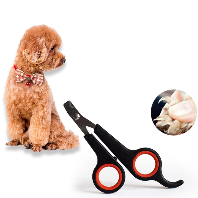 Small Pet Clipper